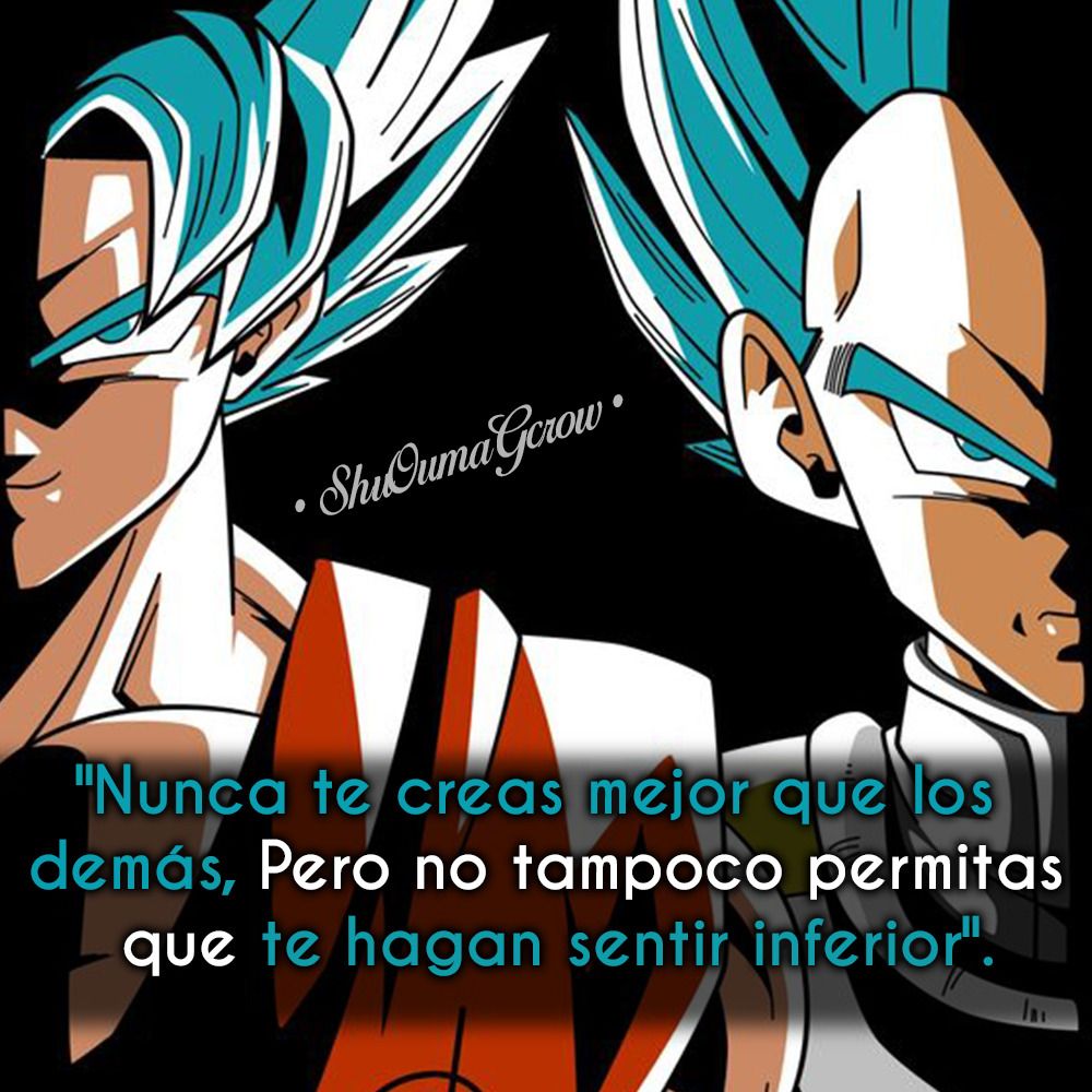 63 Mejores Imagenes De Sayayin En 2020 Frases Goku Vegeta Y