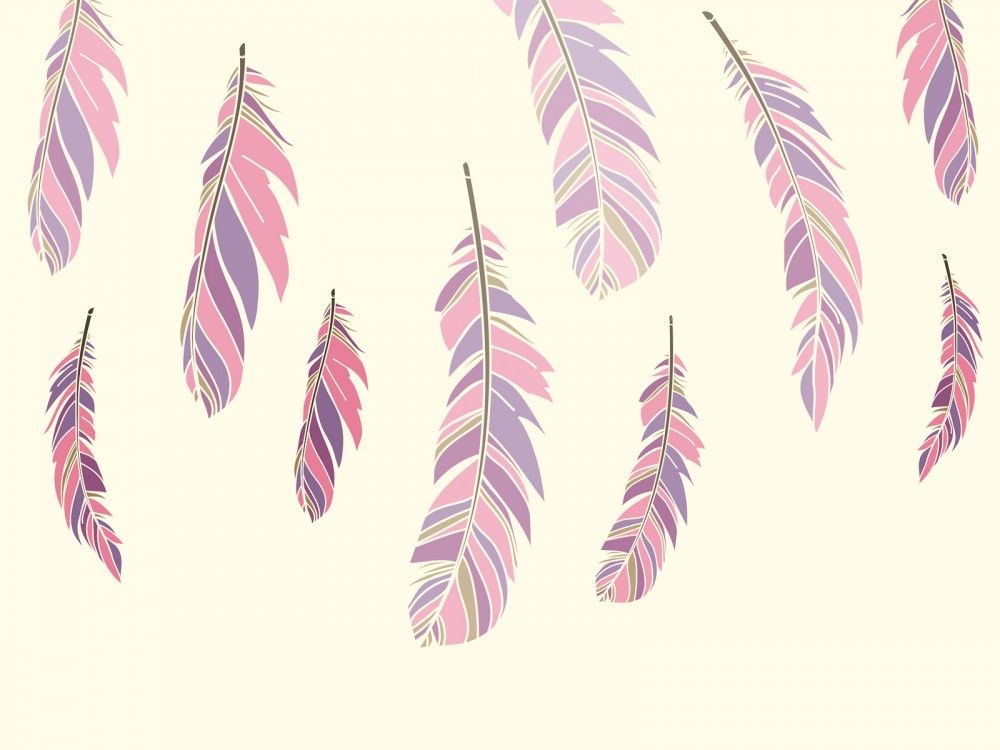 download free colour feathers powerpoint backgrounds http girly powerpoint backgrounds