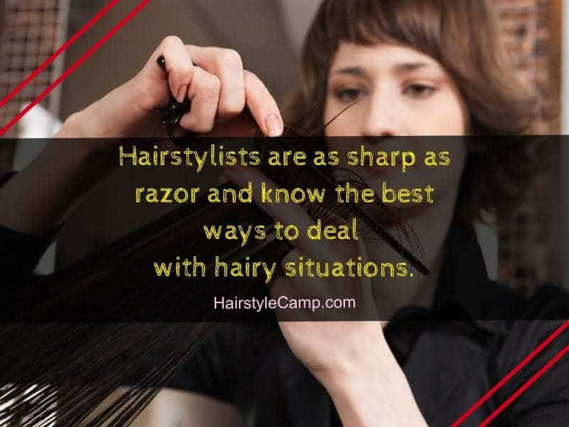 50 of The Best Hairstylist Quotes & Memes HairstyleCamp Hairstylist