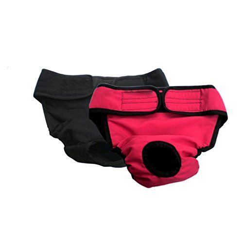 Pin On Dog Training Pads