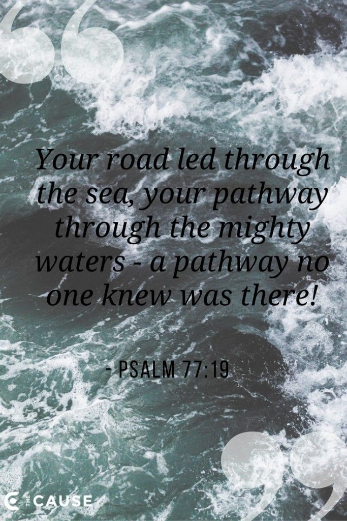 Your Road Led Through The Sea Your Pathway Through The Mighty Waters your-road-led-through-the-sea-your-pathway-through-the-mighty-waters