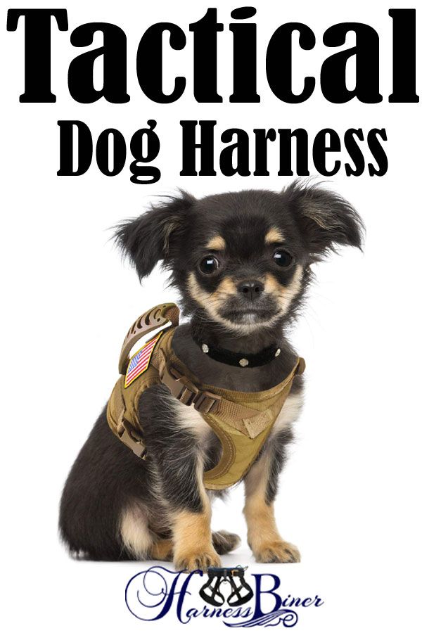 Tactical Dog Working Vest Training Harness No Pull Adjustable