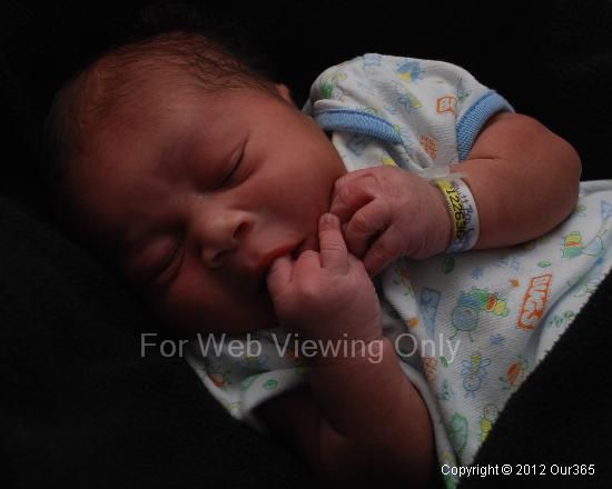 Baby Portrait Page Mom365 Portraits Infant Baby Portrait Page Mom365 Portraits Infant