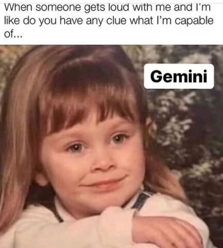 50 Best Gemini Memes That Describe This Zodiac Sign