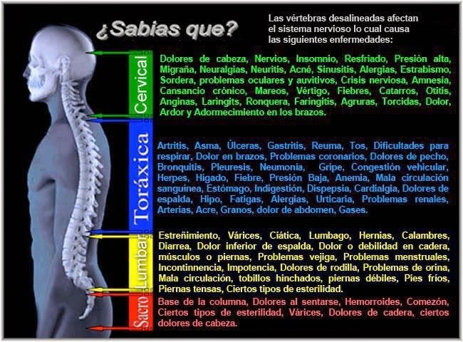 Dolor de espalda dar fiebre puede un