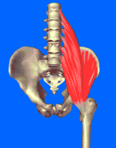 Psoas Iliaque, Psoas Release, Flexion, Streching, Back Pain, Yoga Fitness, Medical, Health, Mtc