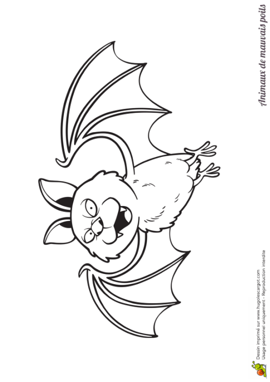 Coloriage Animaux Mechants Chauve Sans Souris Coloriage Animaux Coloriage Dessin Chauve Souris Coloriage Animaux Mechants Chauve Sans Souris Coloriage Animaux Coloriage Dessin Chauve Souris