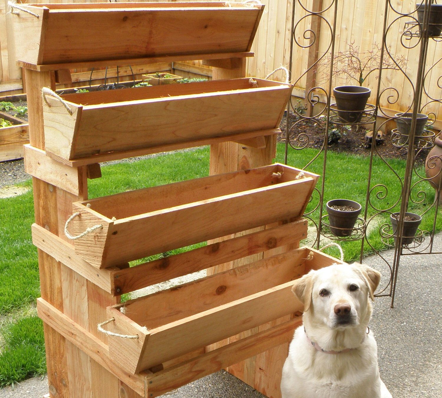 herb garden planter box