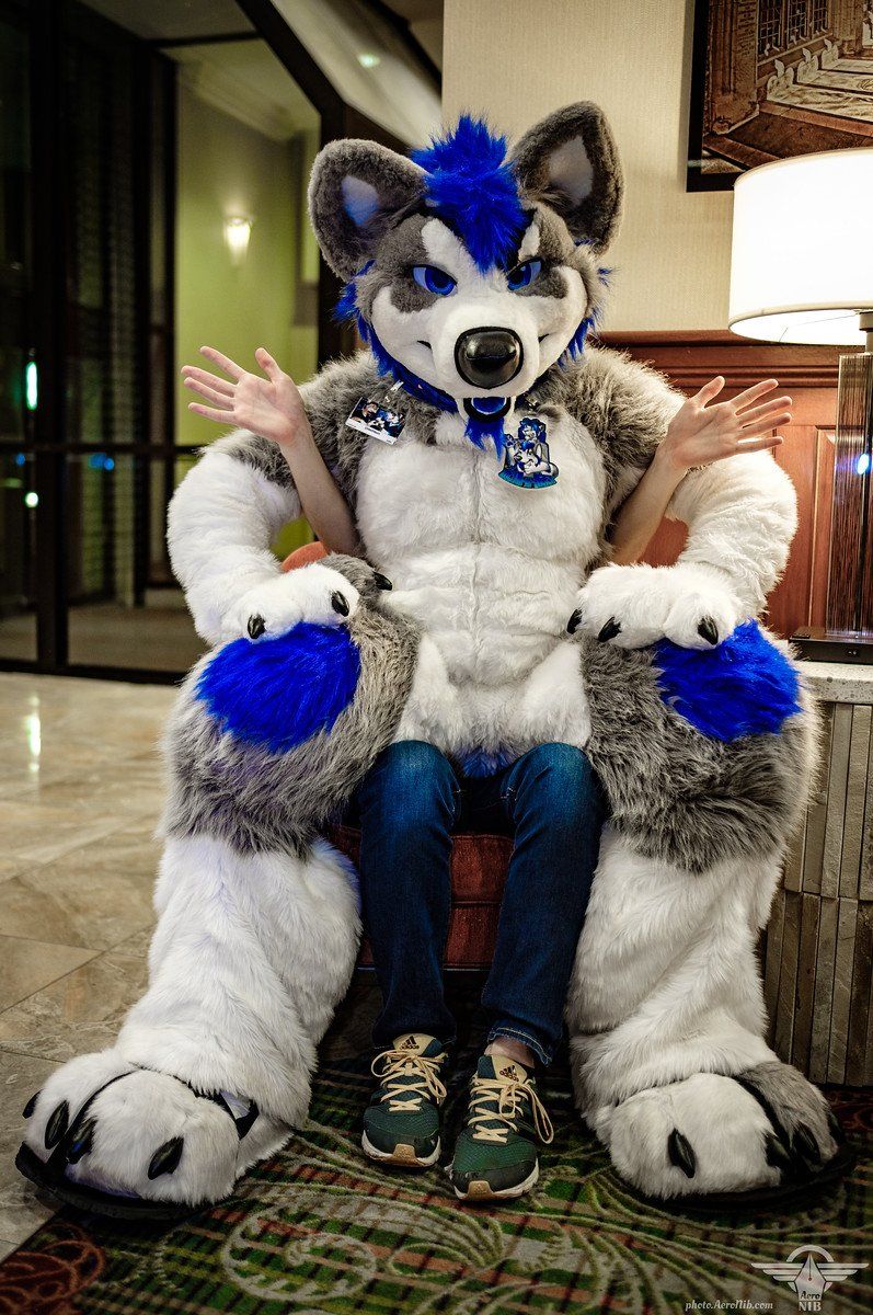 Sexy Fursuit