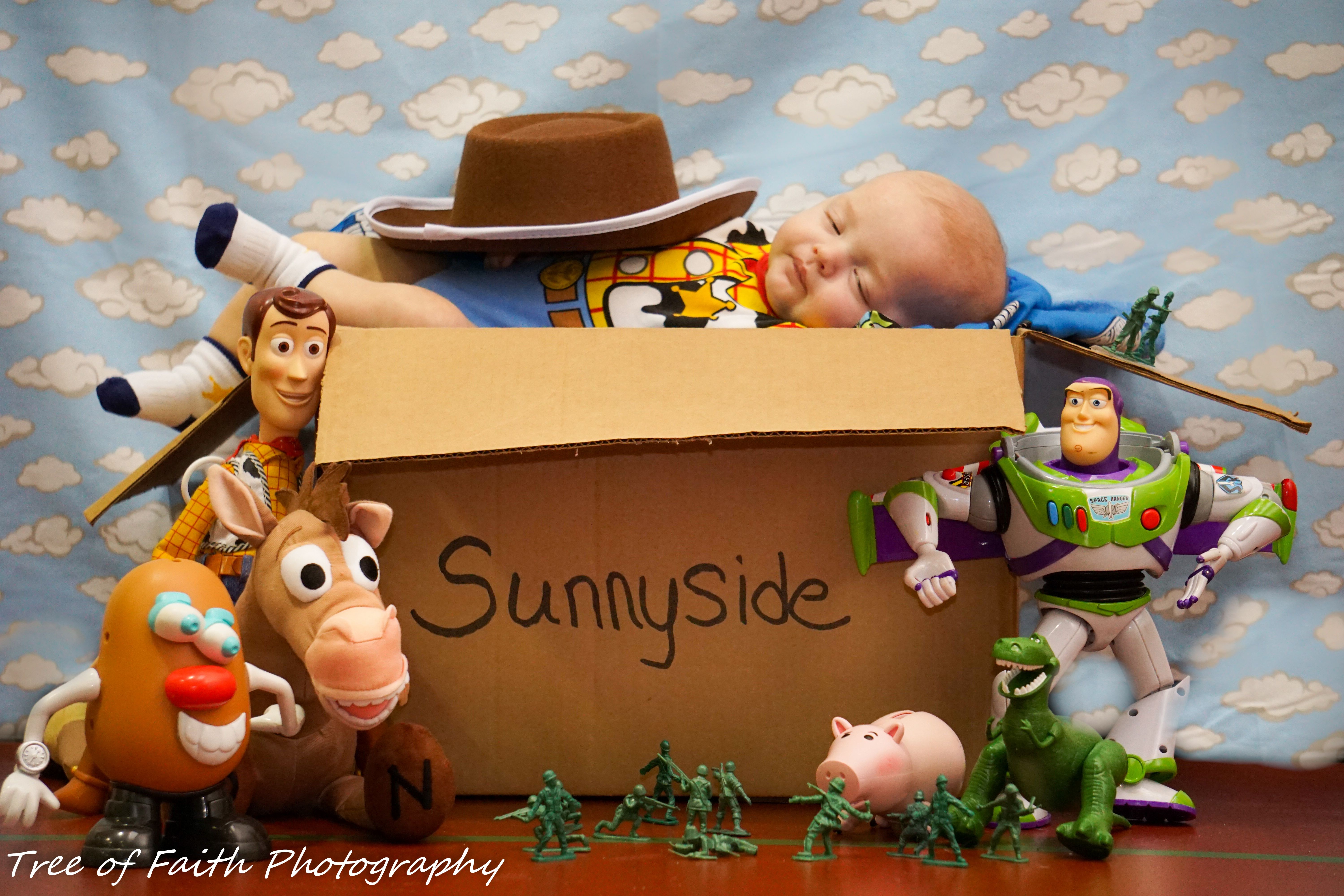 toy story newborn