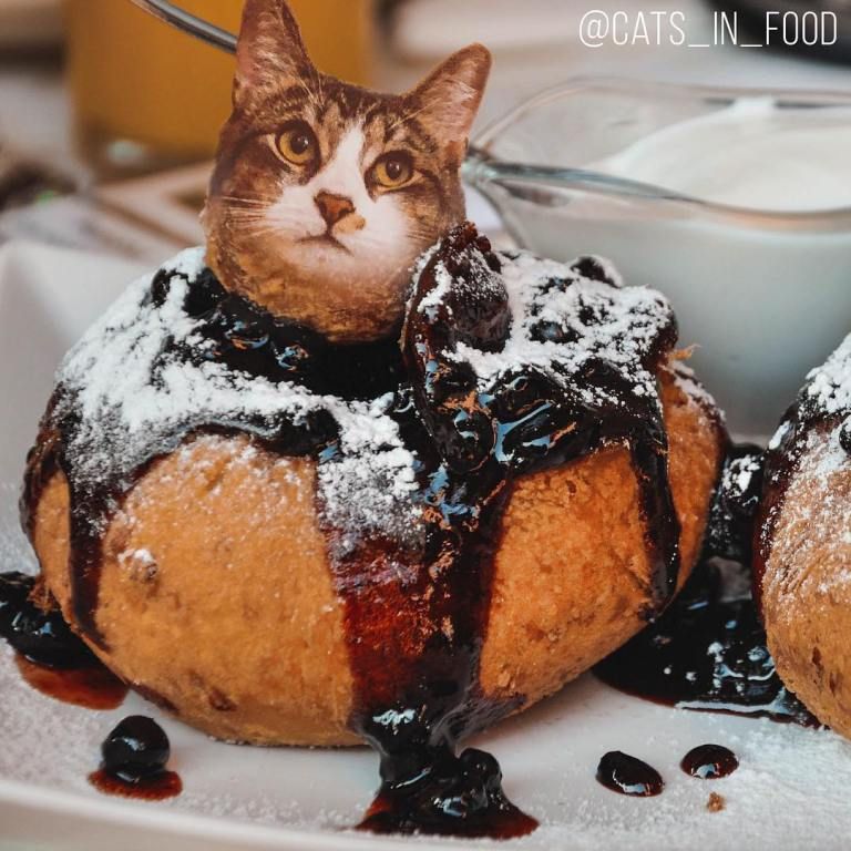 Artist Photoshop Cats Into Food And The Results Are Hilariously Cute