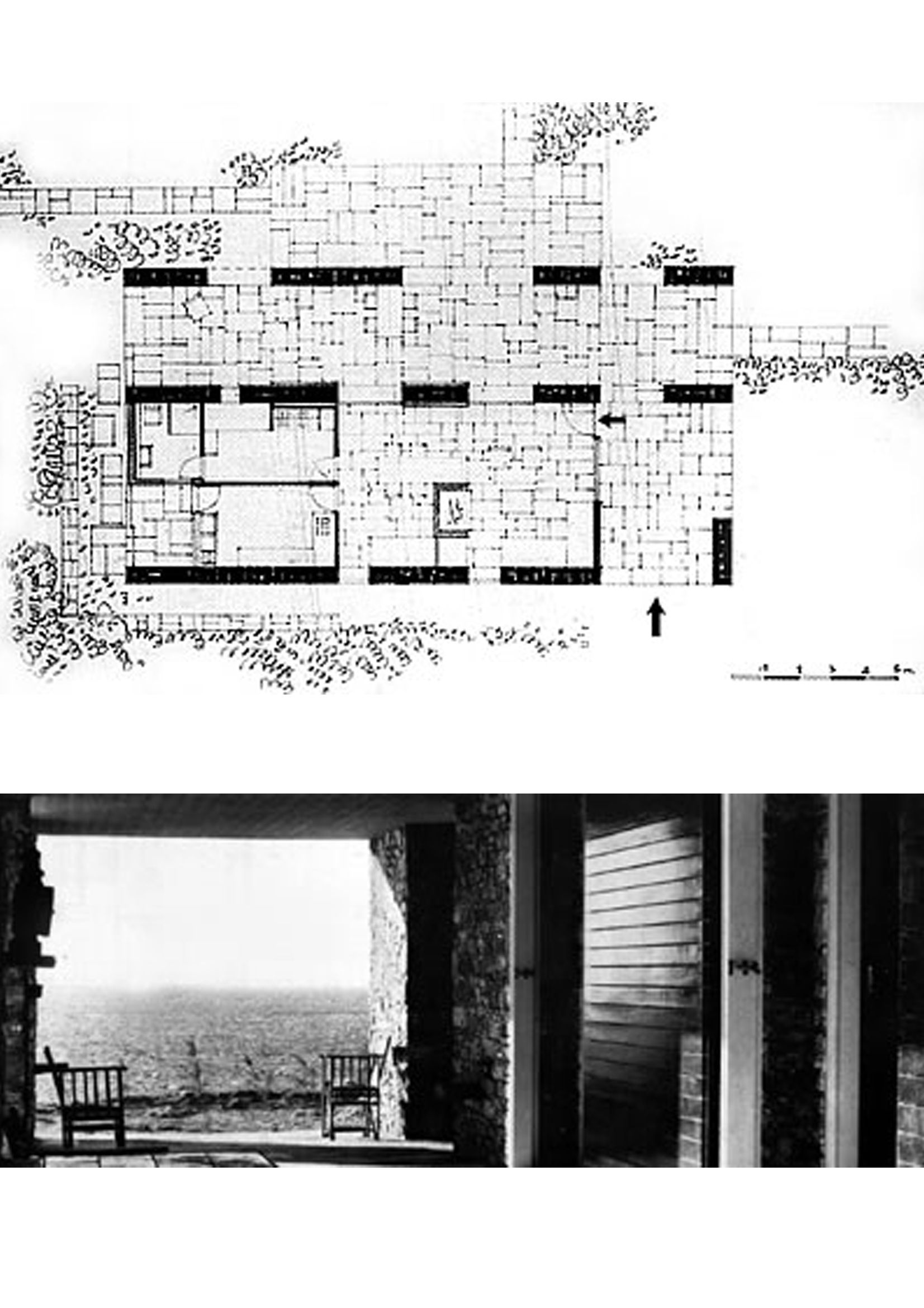 Mr Konstantinidis Casas Plantas