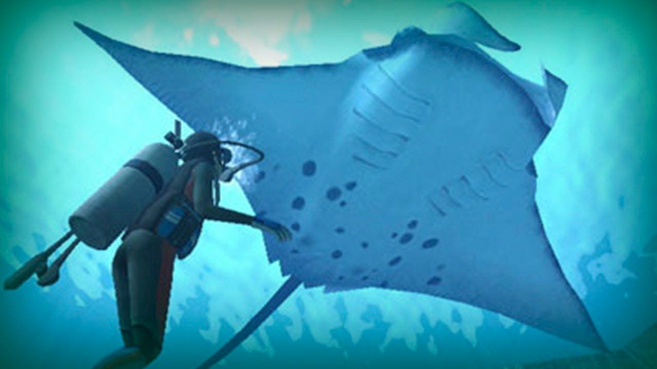 Manta Ray A Giant Of The Ocean Manta Ray Giant Manta Sea Creatures