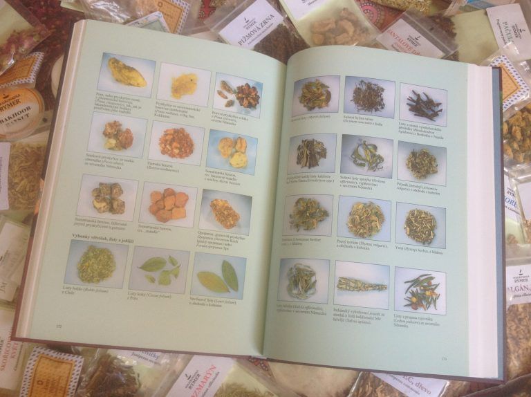 Recenze knihy: Dech draka, vykuřovadla podle etnologa Rätsche Drake, Bullet Journal