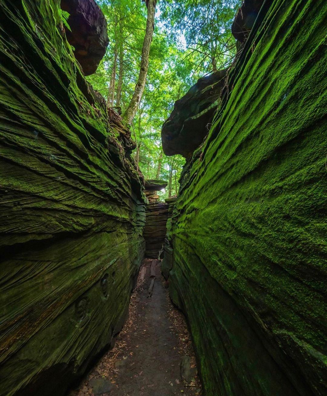 Yala National Park Srilanka Camping Near Great Smoky Mountains National Park