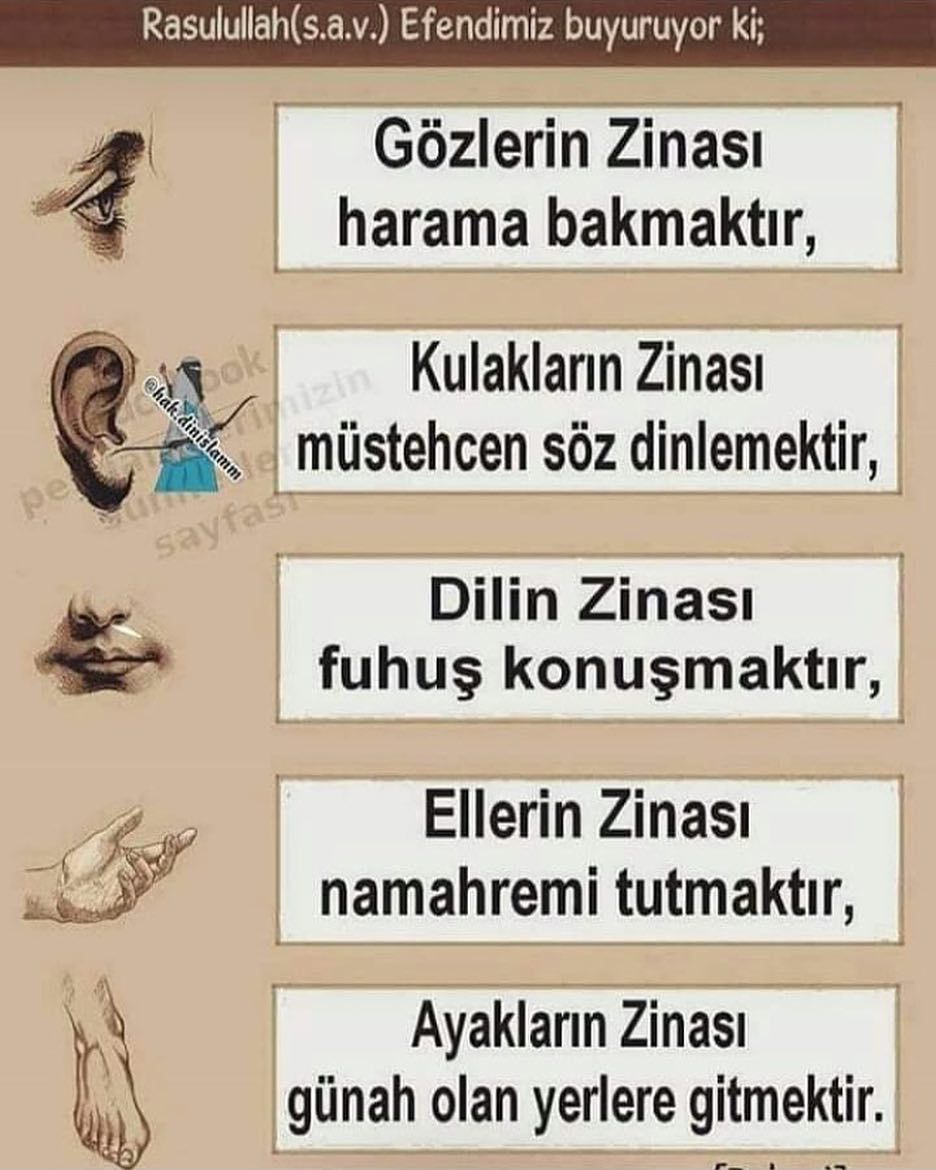 Ayet Dua Guzelsozler Hadis Ozlusozler Ayet Hadis Dua En Guzel Ozlu Sozler Www Insanpsikolojisi Net Words Of Wisdom Allah Islam Words Ayet Dua Guzelsozler Hadis Ozlusozler Ayet Hadis Dua En Guzel Ozlu Sozler Www Insanpsikolojisi Net Words Of Wisdom Allah Islam Words