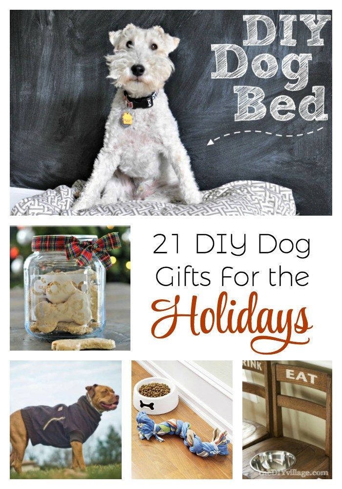 21 DIY Dog Gifts For the Holidays Diy dog gifts, Diy dog stuff, Dog gifts