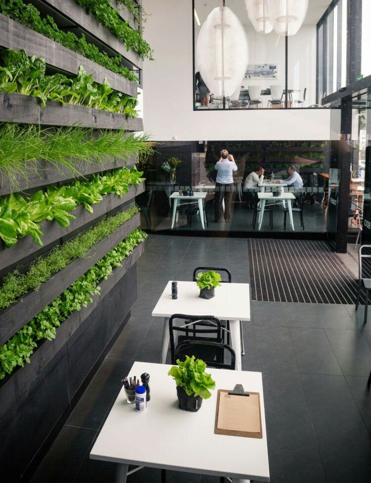 Ces jardins rien sont enjambée seulement auprès les pelouses après ces pays d...