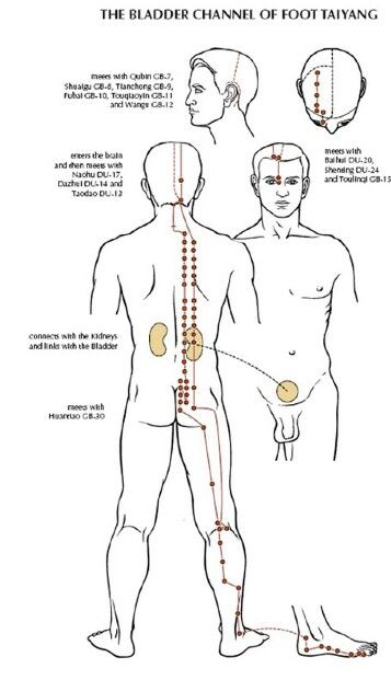Acupressure Healing Acupuntura Acupuntura Puntos Acupuntura Para Adelgazar