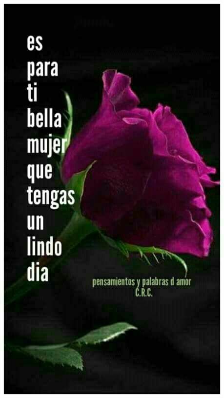picture Buenos Dias Bella Dama Poema poema buenos dias mujer hermosa es info