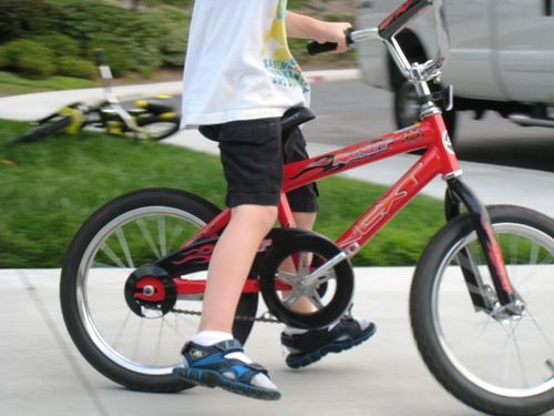 Child Riding A Bike In Summer Park Little Girl Learning To Ride A