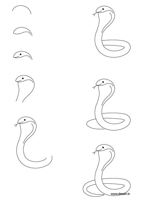 dessin cobra Art Drawings For Kids, Doodle Drawings, Art Drawings ...