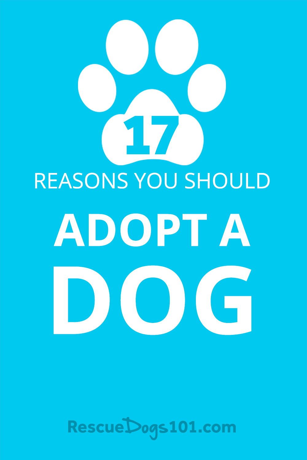 Top 17 Reasons You Should Adopt A Dog adoptdontshop dogs dogstuff adoption-meaning-what-is-adoption-what-does-adoption-mean-youtube