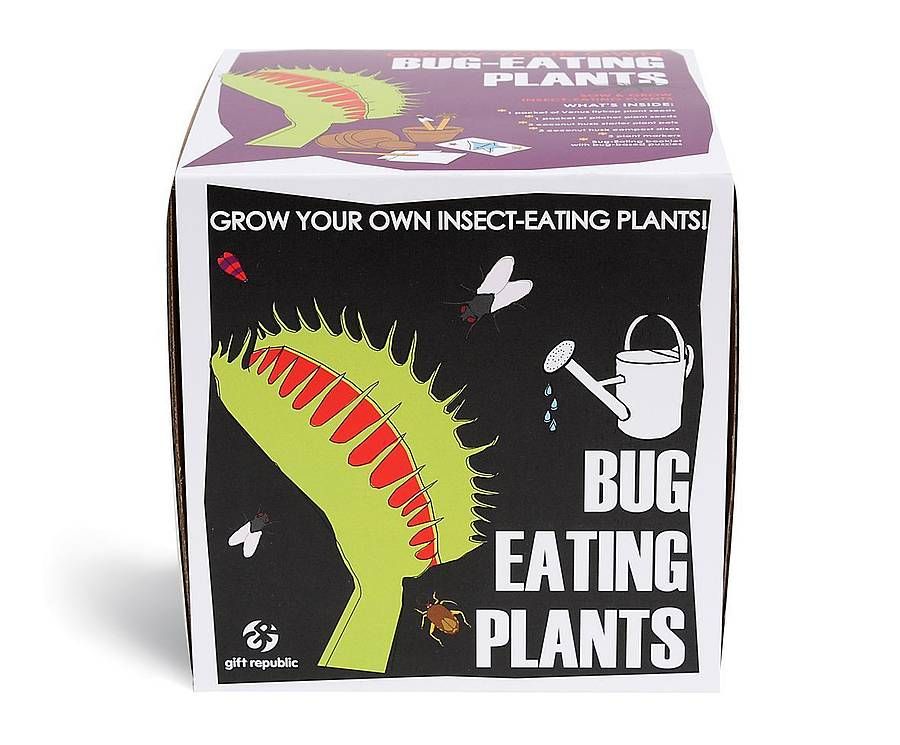 Kit for growing carnivorous plants Gift Republic Sow And Grow