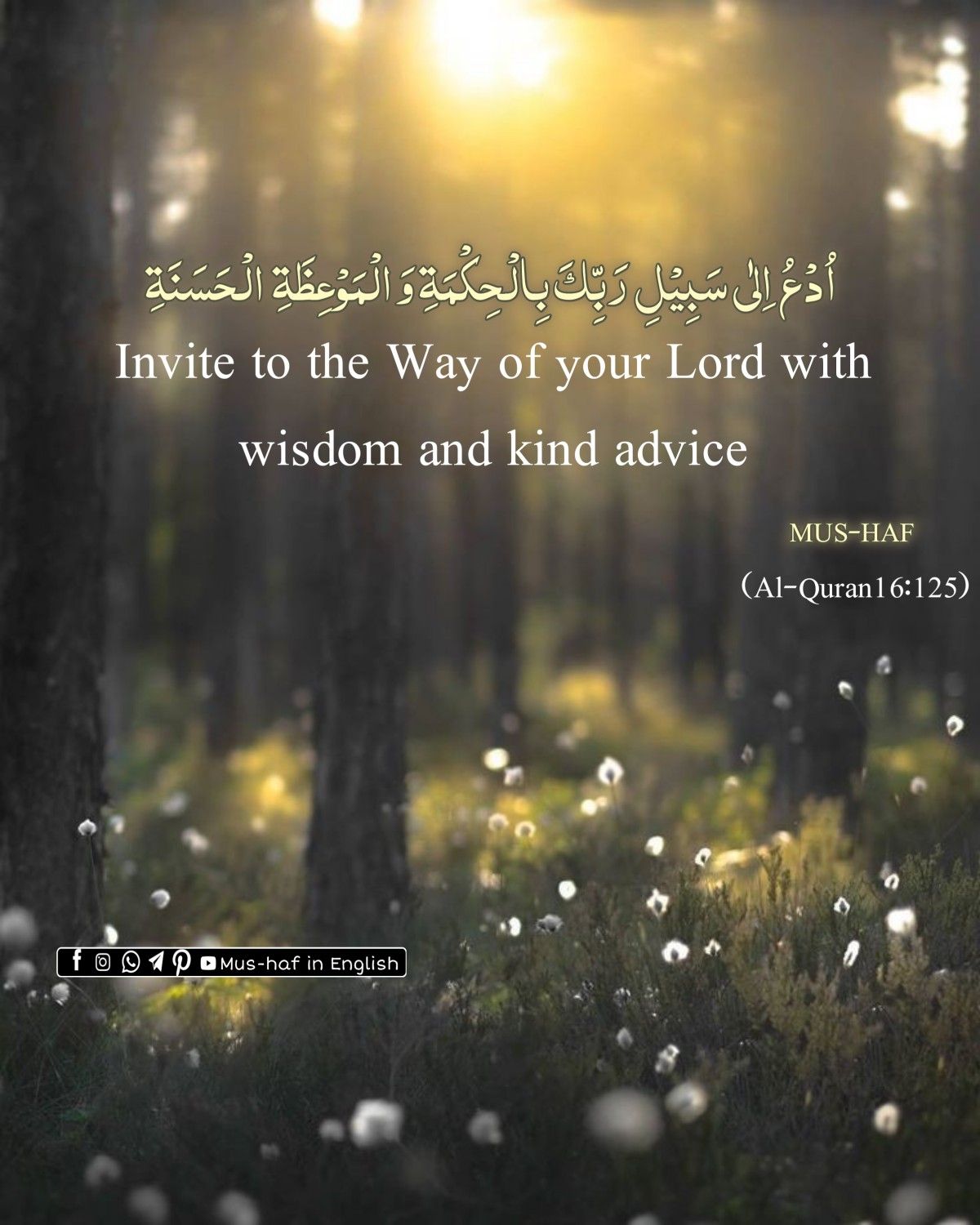 Quran Quotes Verses Allah Quotes Islamic Quotes Quran Pictures With Quran Quotes Verses Allah Quotes Islamic Quotes Quran Pictures With