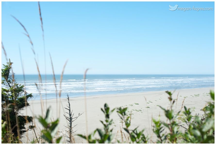 Seabrook Washington I Want To Go There Pinterest Seabrook Washington Seattle State Beaches Olympic Peninsula