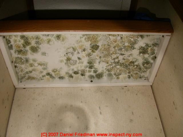 Kitchen Pantry Mold C Daniel Friedman Remover Molding Wood Kitchen Pantry Mold C Daniel Friedman, Mold In Kitchen Pantry