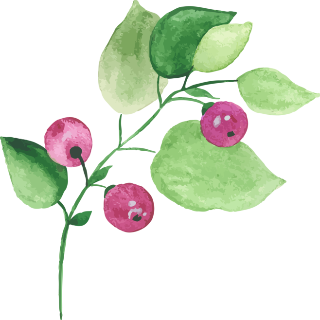 水彩花卉森系花朵图片ai图片watercolor Flower Forest Flower Picture Ai Picture Flower Forest Forest Flowers Watercolor Flowers 水彩花卉森系花朵图片ai图片watercolor Flower Forest Flower Picture Ai Picture Flower Forest Forest Flowers Watercolor Flowers