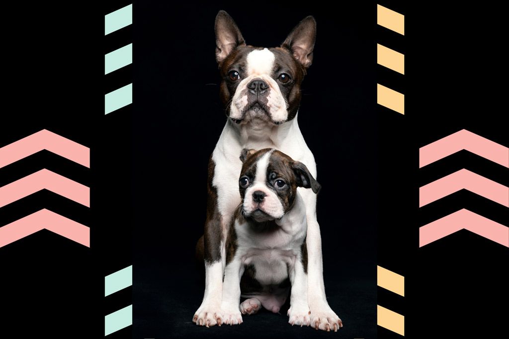 Pin On Web Pixer