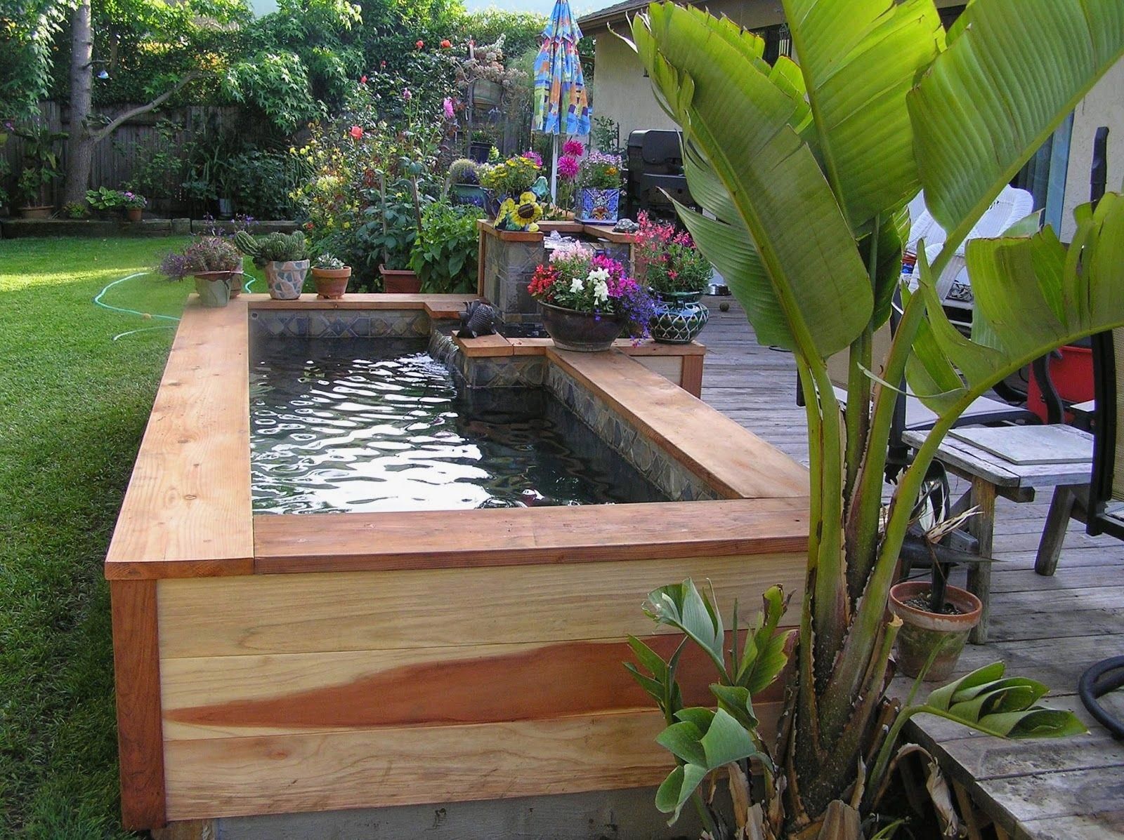 Koi Fish Information Ponds Backyard Patio Pond Garden Design Ponds Backyard Patio Pond Garden