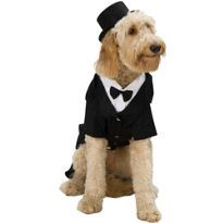 Dapper Dog Dog Costume Dapper Dogs