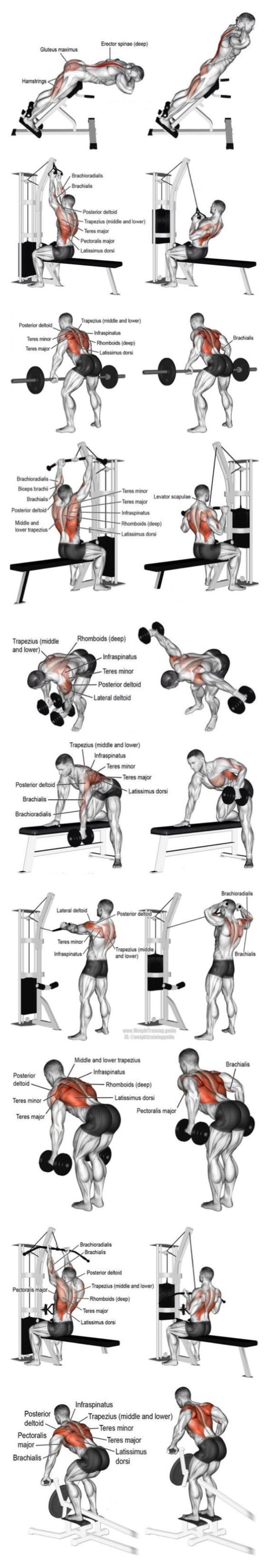 Rutina de espalda en el gimnasio
