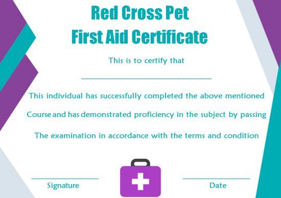 First Aid Certificate Template 15 Free Examples and Sample Templates First Aid Certificate Template 15 Free Examples and Sample Templates