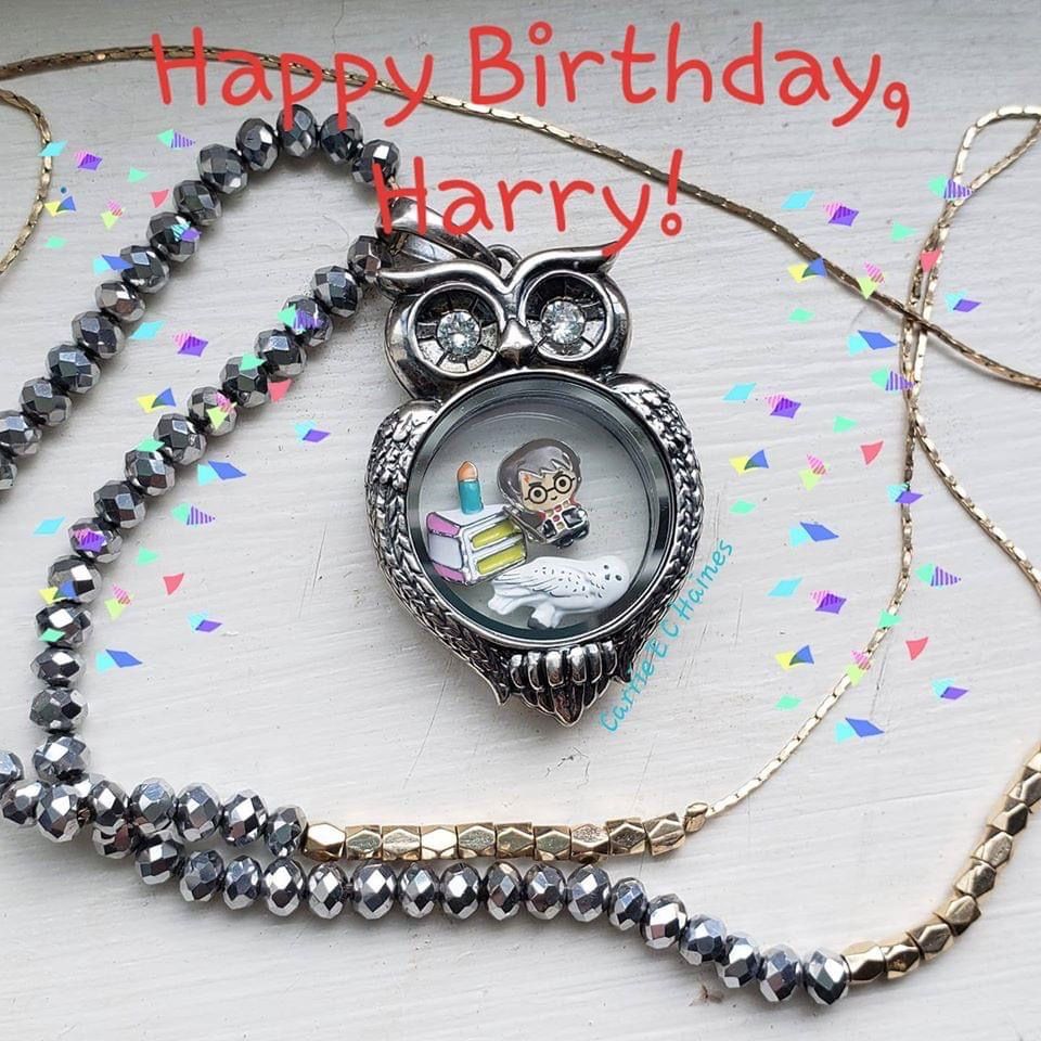 Today Muggles Everywhere Celebrate The Birthday Of Our Favorite Wizard And His Creator As Bot Harry Potter Accessories Harry Potter Birthday Harry Potter Gifts