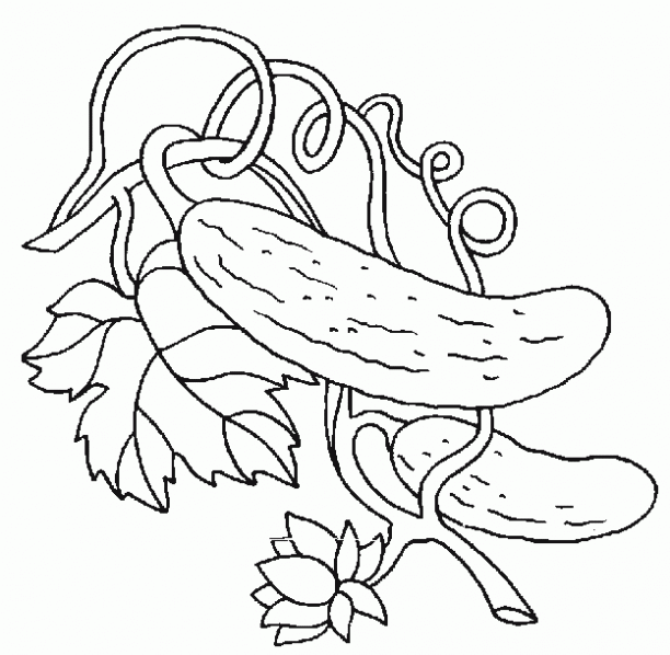 Colorear Pepinos 2 Dibujos Infantiles Gif 612 598 Hand Embroidery Designs Coloring Pages Embroidery Patterns