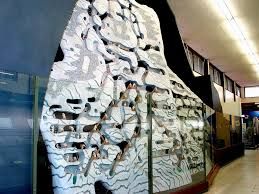 アリの巣 建築 の画像検索結果 建築 巣 アリの巣 建築 の画像検索結果 建築 巣