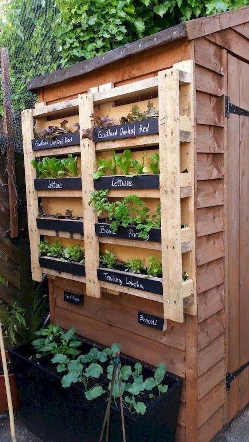 Have you ever took a look at the soil in your garden and considered it as anythi...