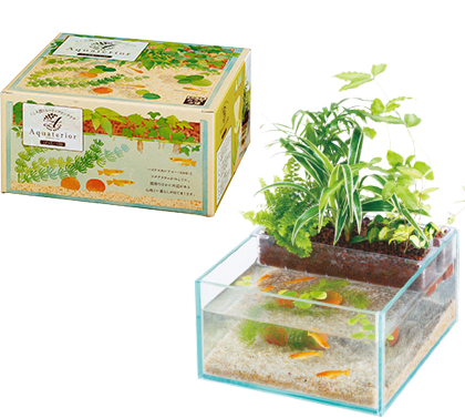 Another New Product On Our Store Now Suisaku Aquaterio Check It Out Here Http Www Freshnmarine Com Products Suisaku Aquaterior N190 アクア メダカ アクアリウム スチロール Another New Product On Our Store Now Suisaku Aquaterio Check It Out Here Http Www Freshnmarine Com Products Suisaku Aquaterior N190 アクア メダカ アクアリウム スチロール