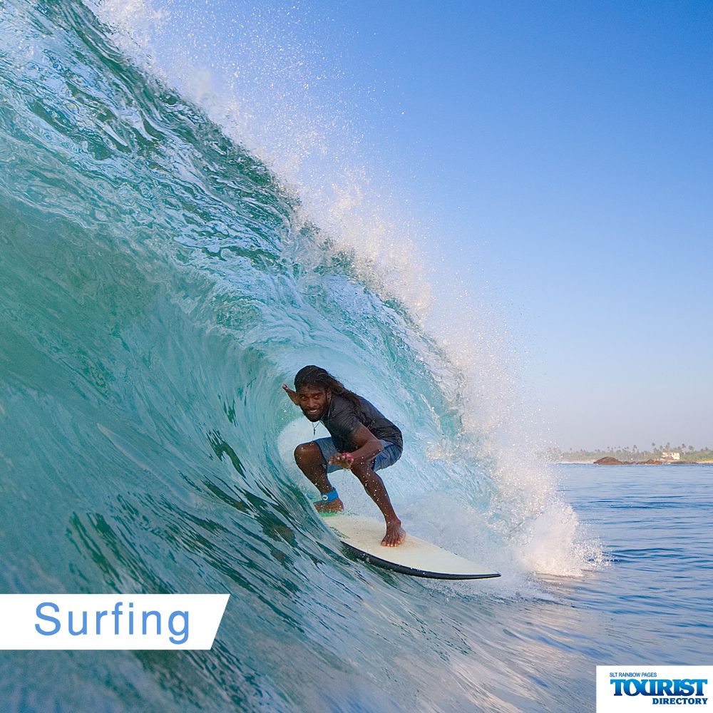 Surfing is quite an adventurous water sport in which the