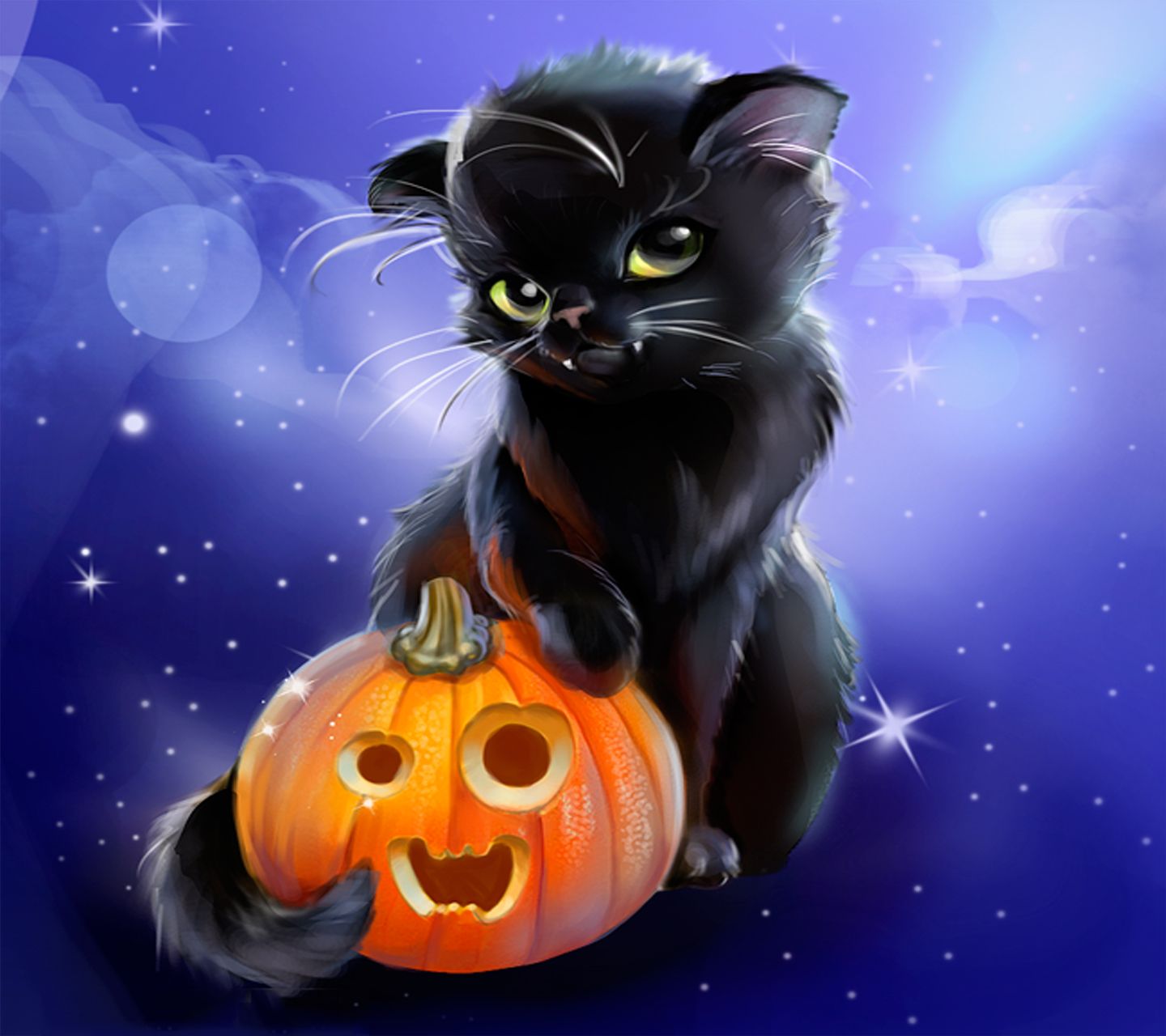 Black Cat Halloween Halloween Funny Halloween Cat black-cat-halloween-halloween-funny-halloween-cat