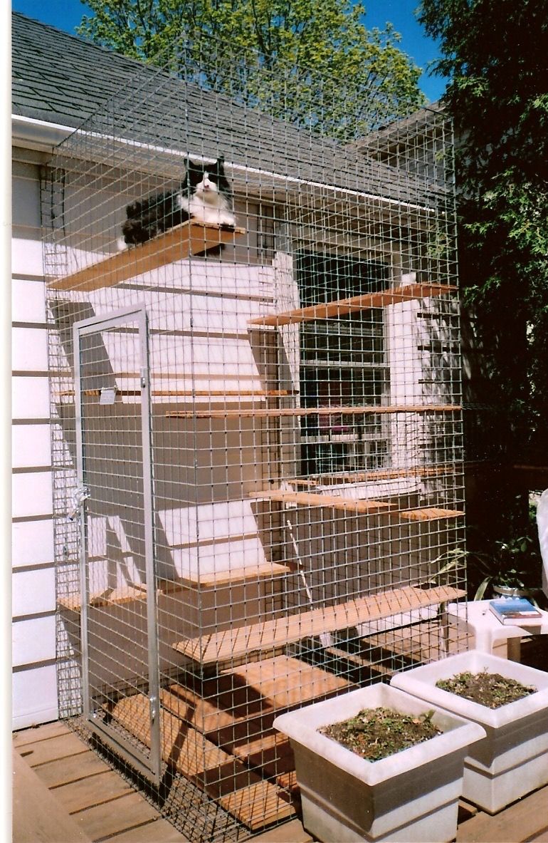Outdoor Pet Enclosure Cat Enclosure Enclosures Cat Habitat Cat outdoor-pet-enclosure-cat-enclosure-great-cat-cat-love-outdoor-cat