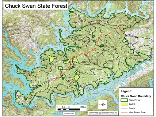 Chuck Swan WMA Trails State forest - 373fec5f4dab142b82baab01746452a4
