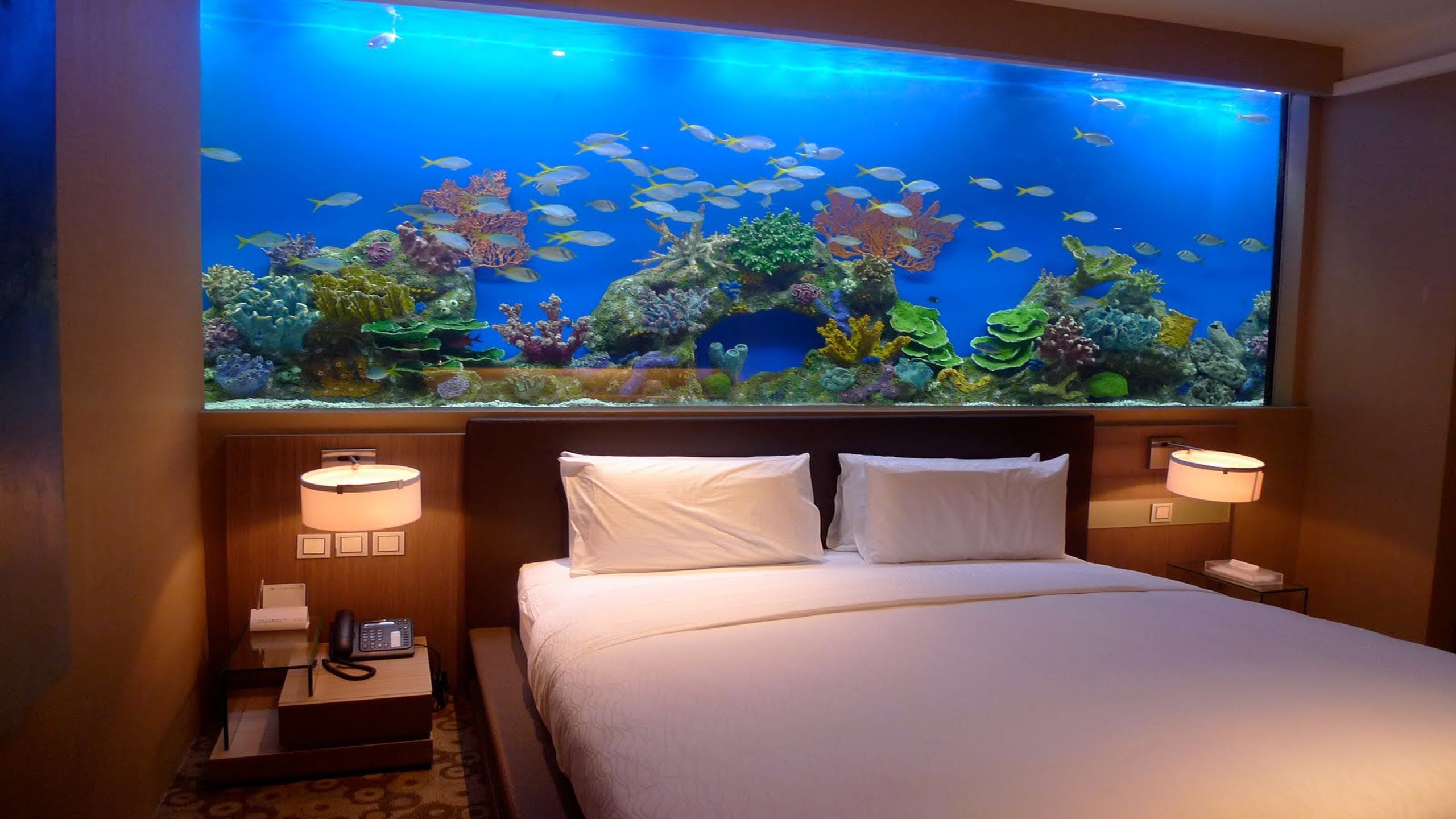 Amazing Home wall Aquariums Design Ideas Wall aquarium