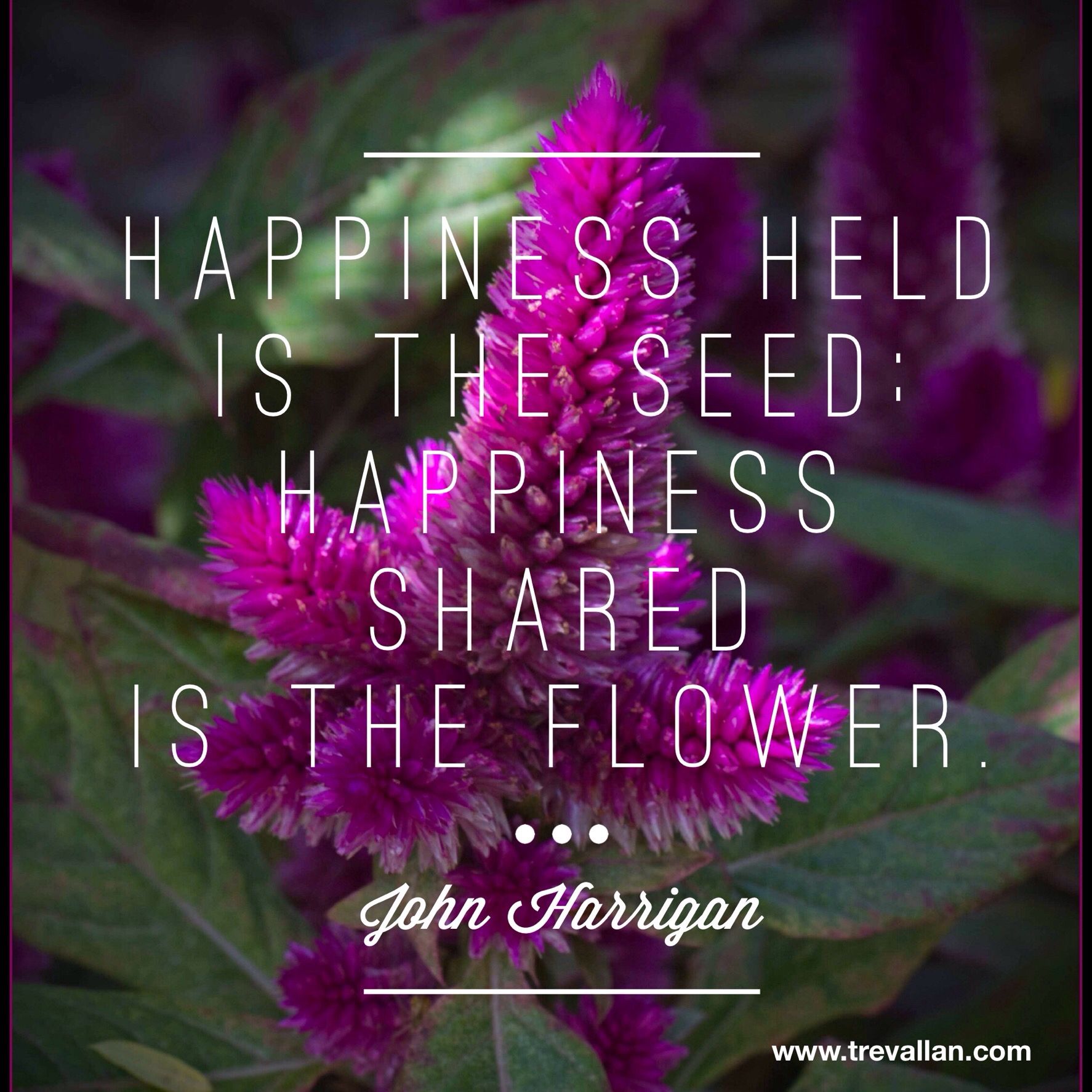 Happiness held is the seed happiness shared is the flower Garden