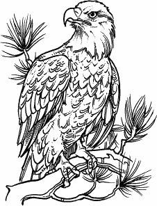 Download Patriotic: Rubber Stamps: Online Catalog: The Stampin' Place: Rubber Art-Stamps, A… (With images ...