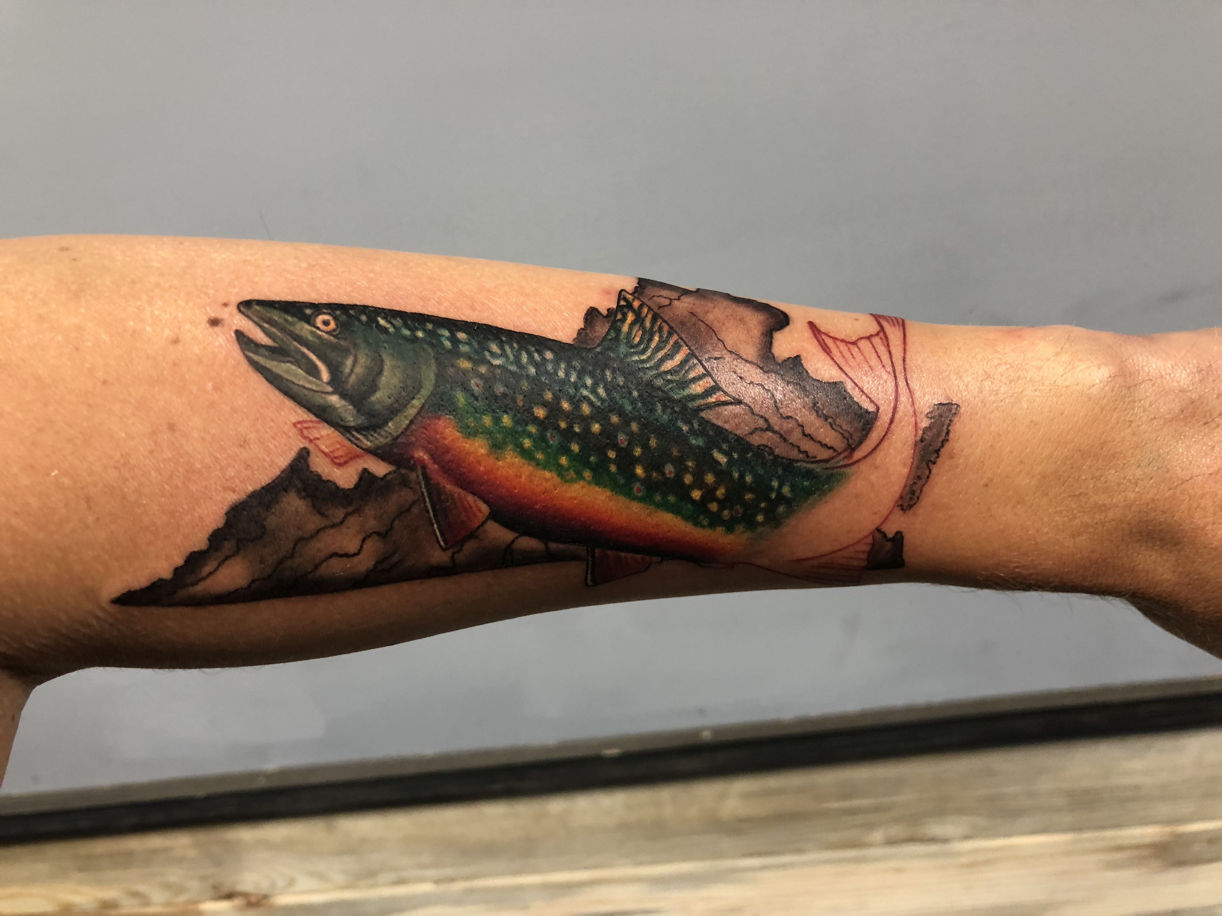 Topview black and grey brook trout for Zach Thanks a ton for getting this  one from me dude brooktrout brooktrouttattoo  Instagram